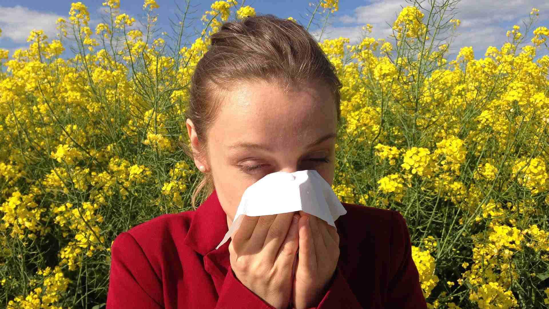 Temporada de alergias: 7 errores a evitar en tu departamento