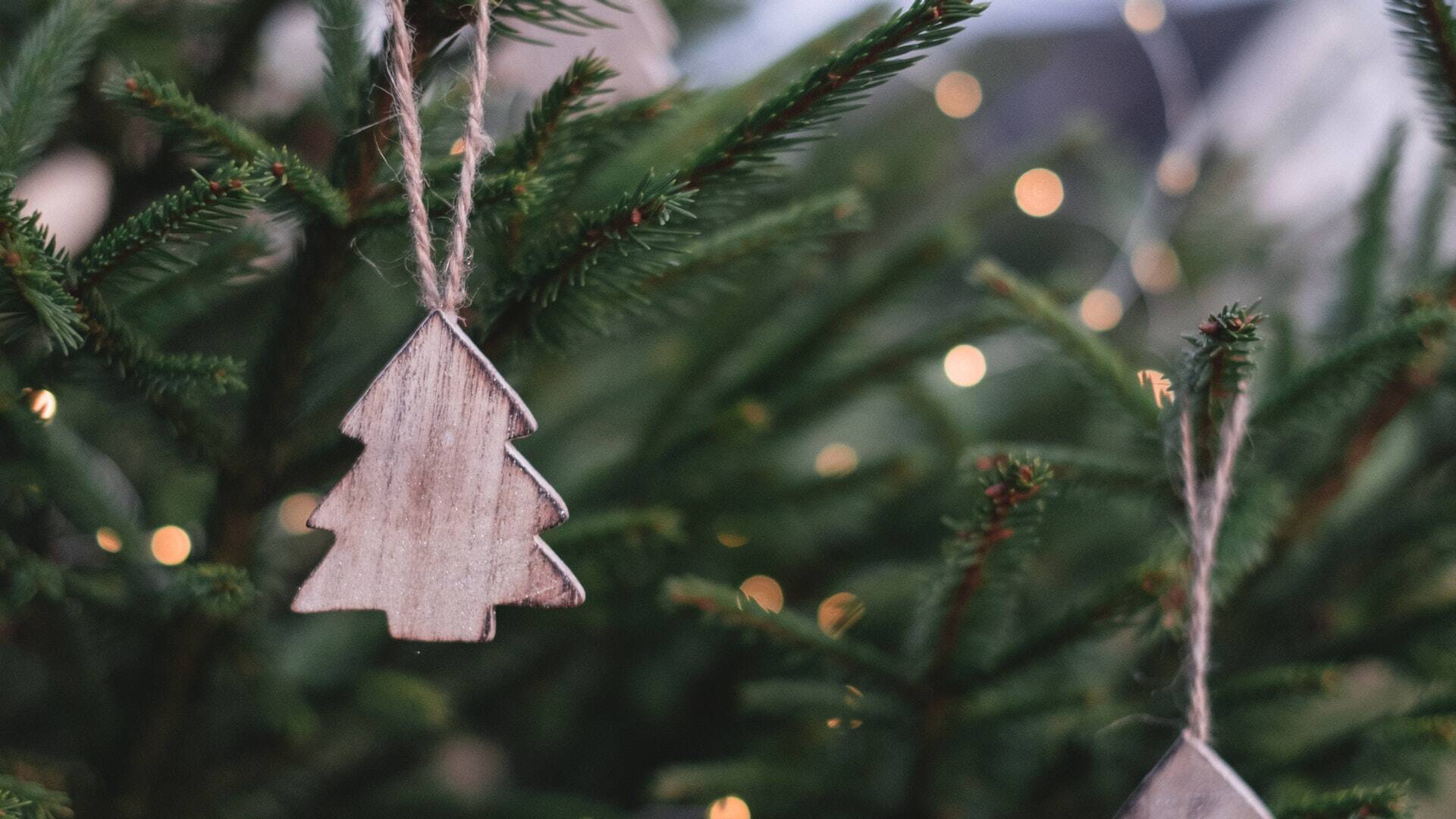 Árbol de Navidad 2019: tendencias e inspiración decorativa